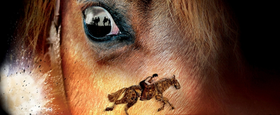 BWW Interview: Scott Miller talks WAR HORSE as it extends its journey to Australia in 2020.