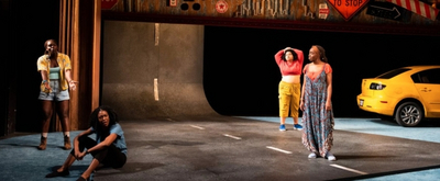 BWW Review: IT'S NOT A TRIP IT'S A JOURNEY at Round House Theatre