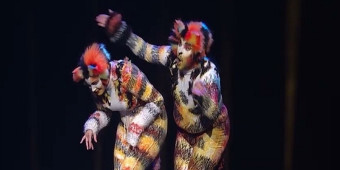 Vídeo: Alex Brightman e Sara Chase Performam 'Mungojerrie and Rumpleteazer' de CATS no MISCAST26