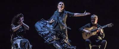 BWW Review: NOCHE FLAMENCA'S 'ENTRE TU Y YO' at Z Space Showcases Legendary Dancer Soledad Barrio
