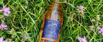 Destinations to Celebrate National Rosé Day in Style