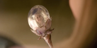 Video: WICKED: FOR GOOD präsentiert neuen Trailer mit erstem Blick auf die junge Glinda