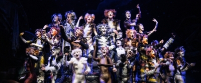 Review: CATS is the Latest Musical to Prowl Onto the Vancouver Stage
