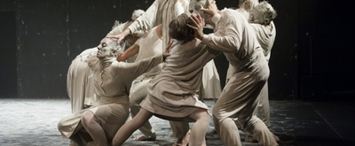 BWW Review: Naia Productions And La Compagnie Maguy Marin Present M at Virtual