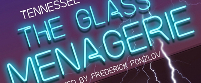 BWW Interview: V. J. Liberatori of THE GLASS MENAGERIE at Aux Dog Theatre