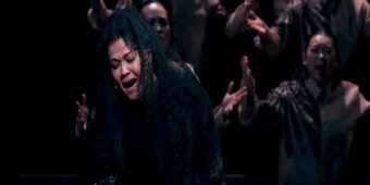 비디오: 마크 테이퍼 포럼에서 '꽃에게 물어봐'를 관람하세요