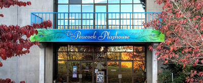 Learn More About the Peacock Performing Arts Center in Hayesville!