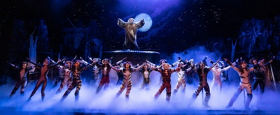 BWW Review: A 'Practical CATS' Performance at Proctors