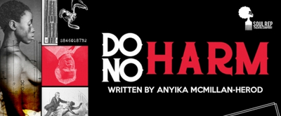 BWW Review: DO NO HARM Heals with Hurt at Soul Rep Theatre Company