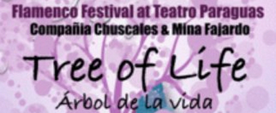 Teatro Paraguas and Compaňia Chuscales & Mina Fajardo Will Present the 8th Annual Spring FLAMENCO FESTIVAL