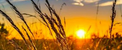 Student Blog: Summer Theatre