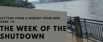 Student Blog: Letters from a Nobody in New York #5: Snapshots of The Week of the Shutdown