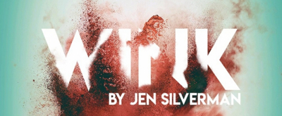 BWW REVIEW: Twisted Minds Are Unleashed And Facades Fall When A Cat Goes Missing In WINK