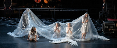 Review: Michael Keegan-Dolan/Teaċ Daṁsa's Loch na hEala (Swan Lake) Ultimately Proves Childhood Joy is Universal