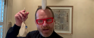 VIDEO: Bryan Cranston & Jimmy Fallon Sing About 'Fancy Soaps' Video