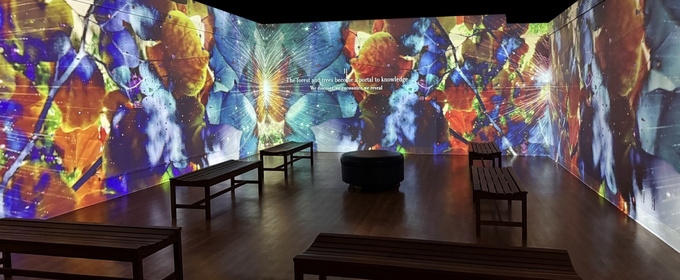 PERENNIAL LAND - The Data Forest Immersive Installation Opens At Morris Museum