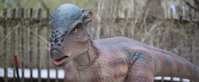 CAMELBACK RESORT in Tannersville, Pa. Announces 'Dinobeach'
