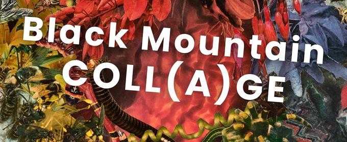 BLACK MOUNTAIN COLL(A)GE Exhibition Set For May