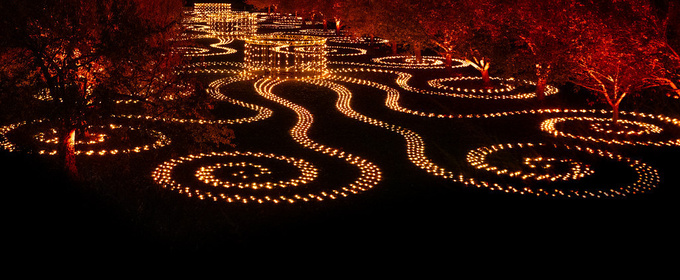 Brooklyn Botanic Garden's Lightscape Opens To The Public For 2025