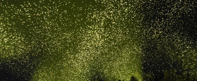 Breckenridge International Festival of Arts Comes to Colorado in August