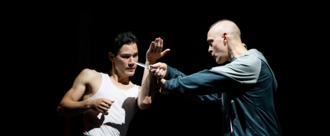 Review: HAPPY FALL: A QUEER STUNT SPECTACULAR an Exhilarating, Sensuous Performance