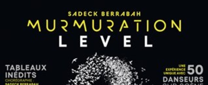 Sadeck Berrabah Will Bring MURMURATION to Geneva
