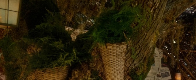 Cynthia Erivo and Airbnb Launch WICKED: FOR GOOD Retreat Inspired by Elphaba’s Forest Hideaway