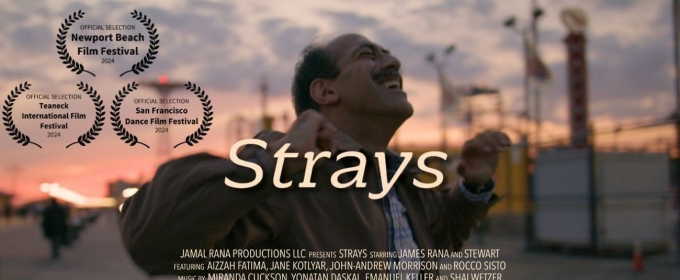 STRAYS to Screen at Delancey Street Theater in October