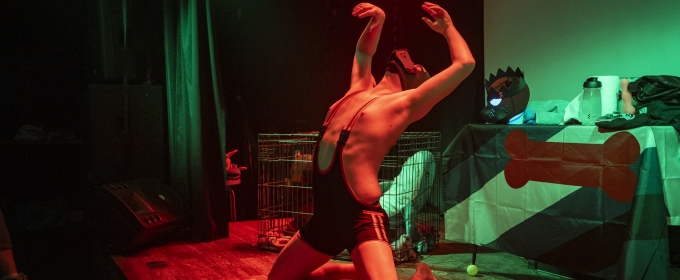 PUP PLAY: A Queer Pseudo-Lecture (of Sorts)' is Coming to Orlando Fringe