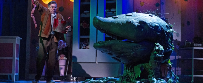 Review: South Coast Repertory Presents LITTLE SHOP OF HORRORS