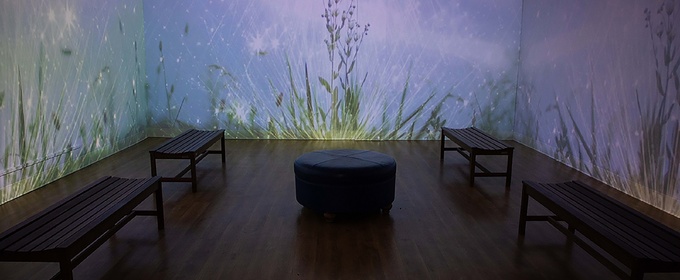 Morris Museum in Morristown-A Fascinating Destination for Culture and Art