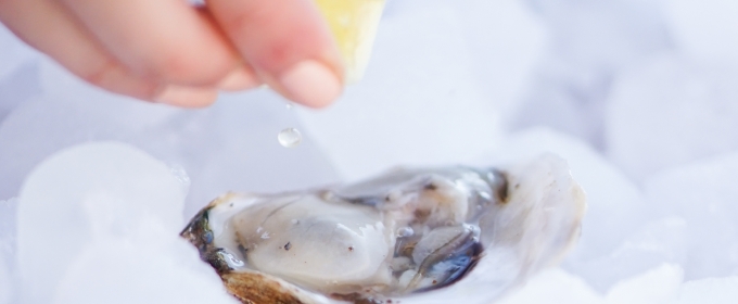 The Mark Clam Bar to Open at The Mark Hotel on the Upper East Side