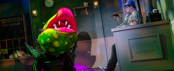 Market House Theatre to Open 61st Season With LITTLE SHOP OF HORRORS