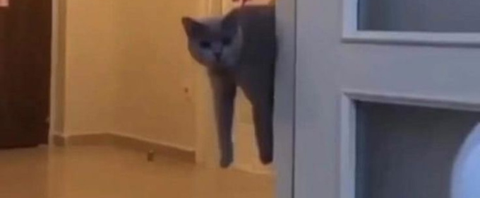 HAPPY BIRTHDAY MARS ROVER to be Presented at Sandbox Theatre Collective