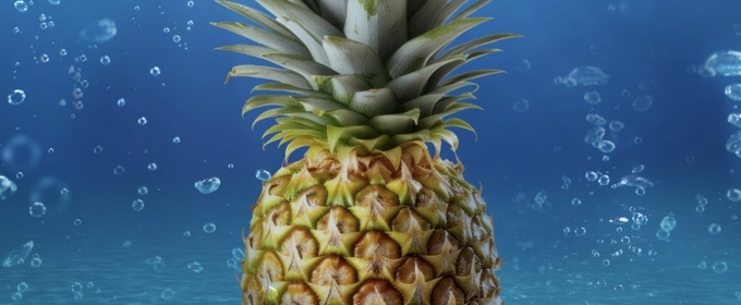 Cast Set For THE SPONGEBOB MUSICAL at Cygnet Theatre