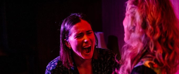 Review: NICE GIRL at Rogue Machine at The Matrix Theatre