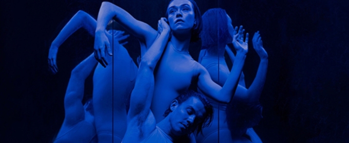 Australasian Dance Collective's BLUE Celebrates 40 Years