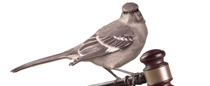 TO KILL A MOCKINGBIRD Will Play at Cone Man Running Productions This July