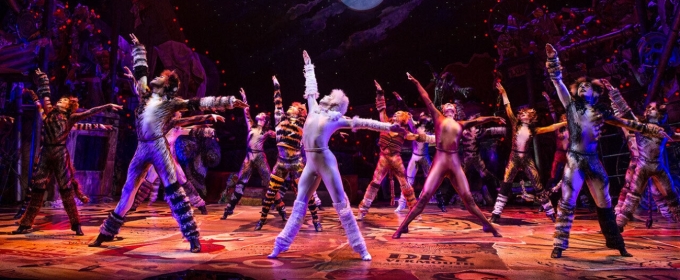 Betty Buckley, Bryan Batt, and More Set for CATS4KAMALA Online Fundraising Event