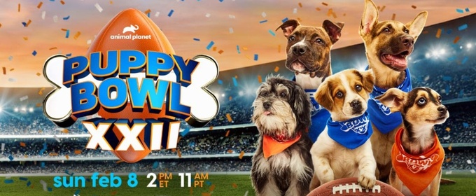PUPPY BOWL XXII to Return on Super Bowl Sunday in February