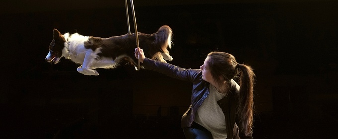 MUTTS GONE NUTS - UNLEASHED! Comes To Aventura