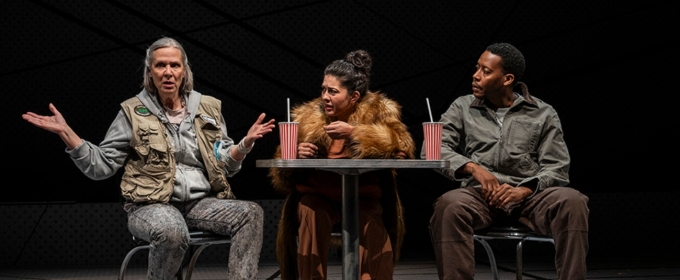 Steppenwolf Theatre's YOU WILL GET SICK Extends
