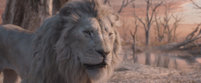 Video: 'Bye Bye' Musical Sequence From Disney's MUFASA: THE LION KING