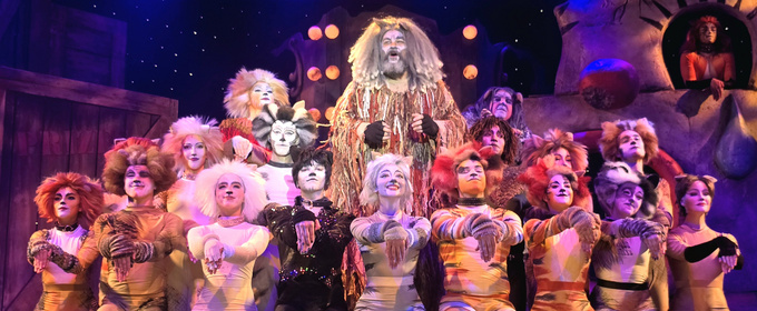 CATS Now Playing At Broadway Palm Dinner Theatre