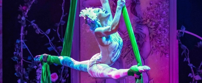 BOHEMIA Returns To The Triple Door This Month