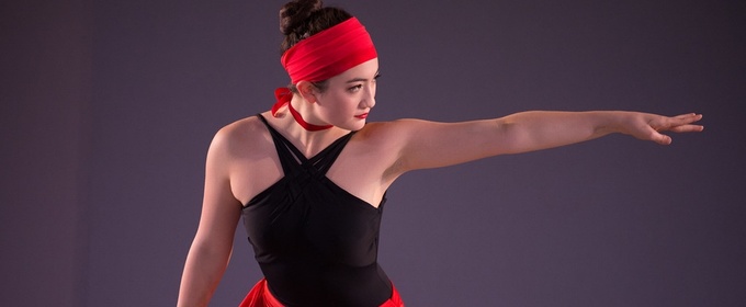 North Shore Civic Ballet Seeks Donations and Volunteers for Annual Spring Auction