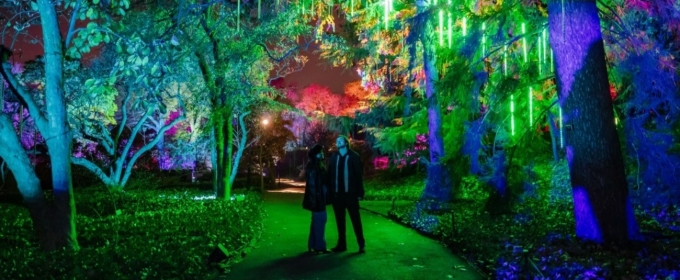 Photos: Brooklyn Botanic Garden's LIGHTSCAPE