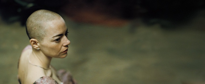 Yorgos Lanthimos' BUGONIA Sets December Streaming Debut on Peacock