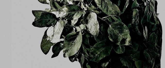 PLAY LA Festival Unveils 2026 Lineup of New Plays and Free Public Readings