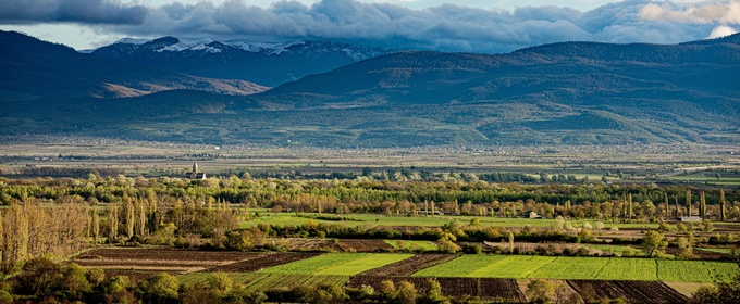 The Country of Georgia-It's Presence in NYC for Wine and Food